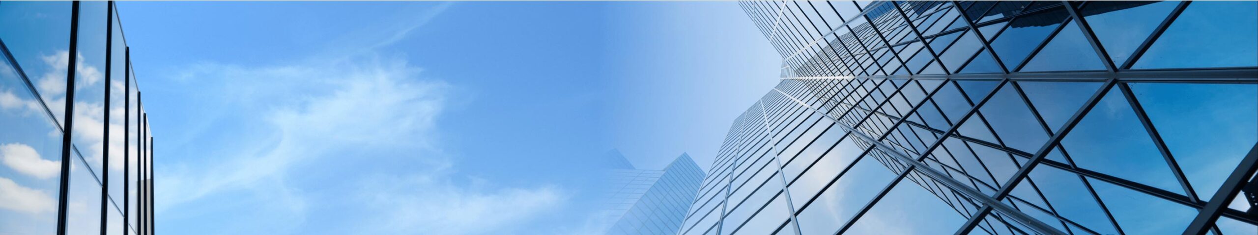 companynews
